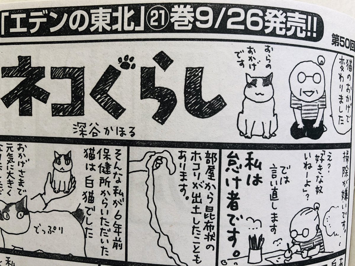 深谷かほる深谷薰 夜廻り猫 7巻 در توییتر こんばんは これは宣伝です まんがライフオリジナル 発売日でした ぼのぼの人生相談 面白いです 私の ネコぐらし も載ってます そして エデンの東北 第21巻が9 27発売になります 今 カバー絵を描いてます 秋の 深谷かほる深谷薰 夜廻り猫 7巻 در توییتر こんばんは これは宣伝です まんがライフオリジナル 発売日でした ぼのぼの人生相談 面白いです 私の ネコぐらし も載ってます そして エデンの東北 第21巻が9 27発売になります 今 カバー絵を描いてます 秋の