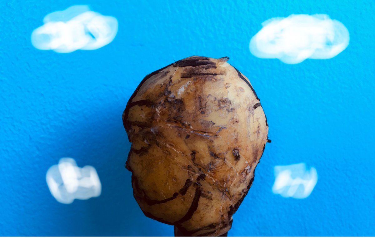 Electr1cCircus's tweet photo. A select few entries from last week's Friday Challenge, the brief: 'Re-create an album using potatoes', how did we do? Can anyone guess the originals? #spudtactular #challengingcreativity https://t.co/wJedJDmL1X
