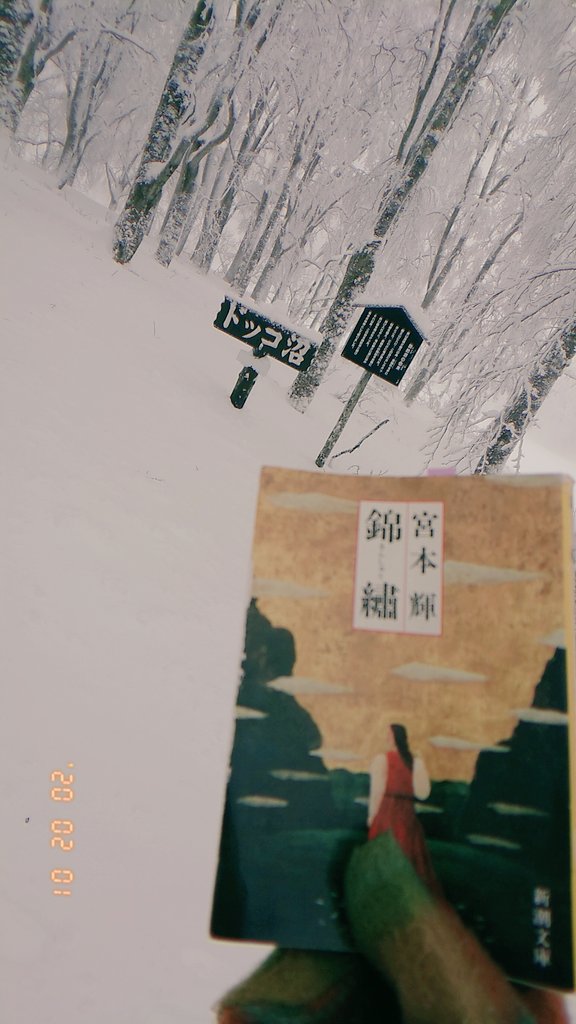 ひつじ渚 ものかき志望 去年の冬 宮本輝先生の錦繍が好きでドッコ沼行ってきたら雪に埋もれました ひつじです 宮本輝 錦繍 小説