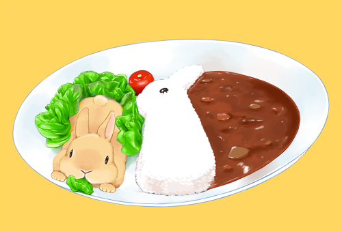 rice food rabbit no humans food focus plate tomato  illustration images