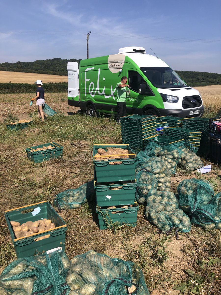 CranborneEstate's tweet photo. Our lock-down potatoes are being harvested and donated to @felixprojectuk. Their volunteers are here picking in the heat and we have put to good use some very old technology. Thanks to Sopley Farms, @V8hound @Tomsforestbeef and @MrJamesMay for helping out. https://t.co/ebK25CkJF6