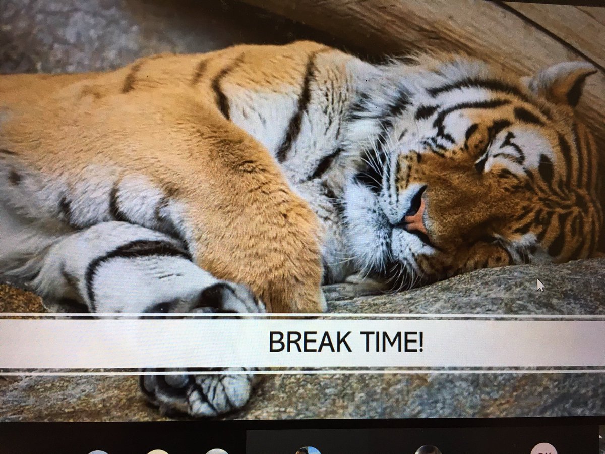 Amanda Collier tweet media