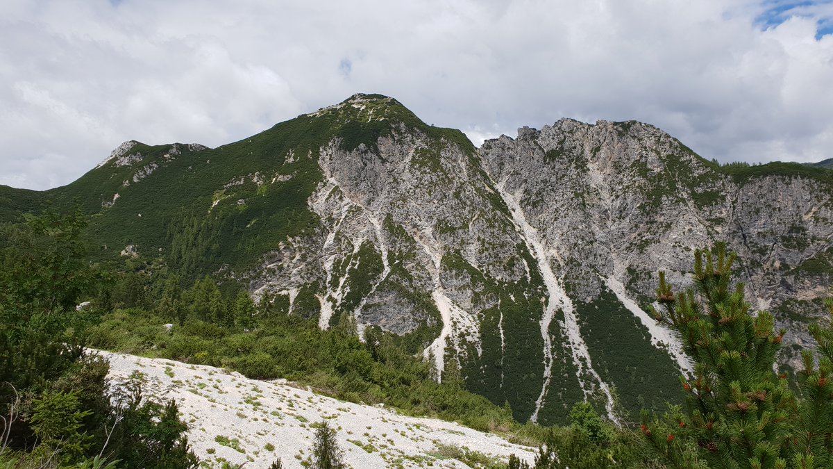 CAI150's tweet photo. ⛰ SCOPRIAMO NUOVI SENTIERI: un bel percorso escursionistico ad anello tra postazioni della Prima guerra mondiale e splendidi panorami sullo Jôf di Somdogna e lo Jôf di Montasio.

La scheda 👉 https://t.co/KN3BAcwG1s
 
Tutte le escursioni 👉 https://t.co/ZSJk9UluGX

@caifvg https://t.co/ZpAaMbS2um