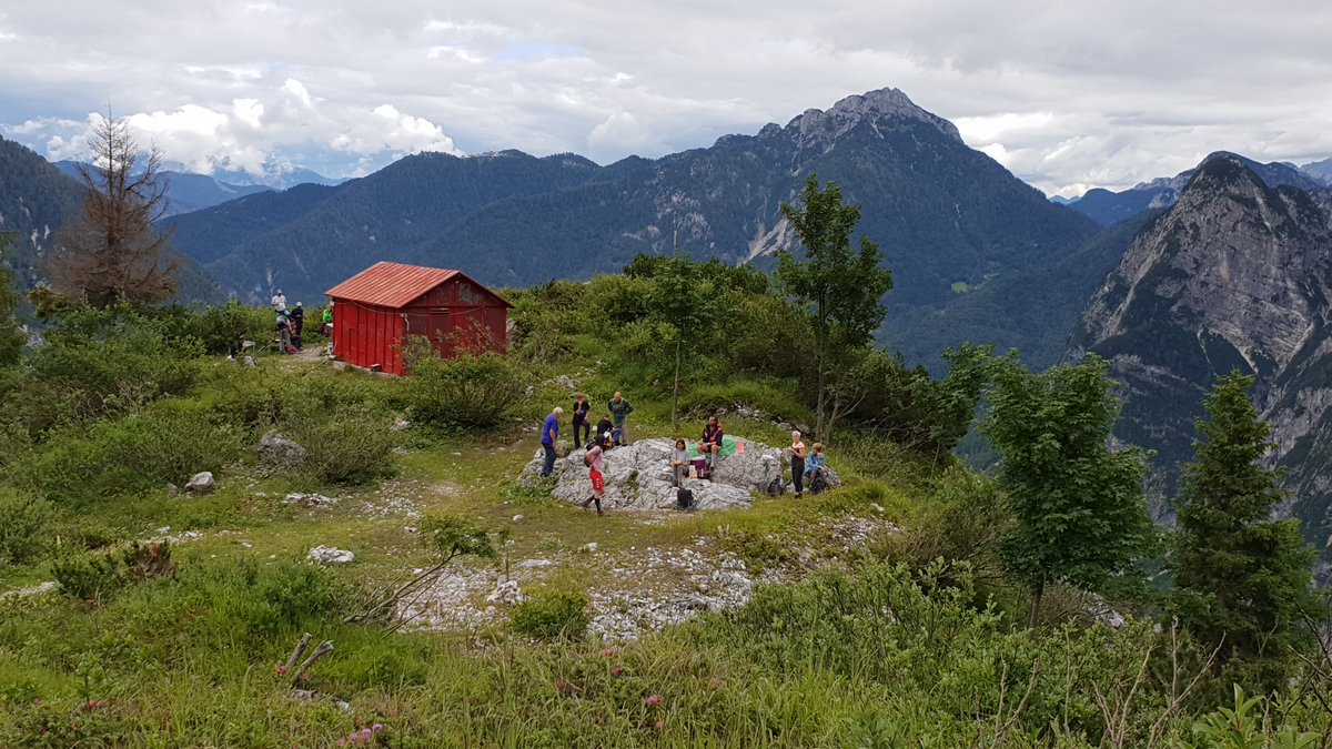 CAI150's tweet photo. ⛰ SCOPRIAMO NUOVI SENTIERI: un bel percorso escursionistico ad anello tra postazioni della Prima guerra mondiale e splendidi panorami sullo Jôf di Somdogna e lo Jôf di Montasio.

La scheda 👉 https://t.co/KN3BAcwG1s
 
Tutte le escursioni 👉 https://t.co/ZSJk9UluGX

@caifvg https://t.co/ZpAaMbS2um