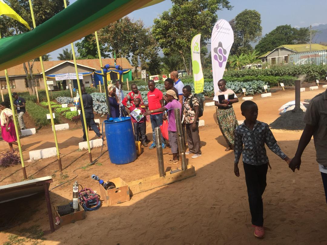 Simusolar tweet media