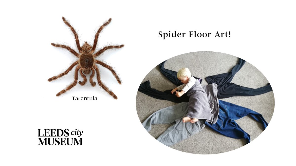 LeedsCityMuseum's tweet photo. Grab a towel, sheet, spoons and give it a go! Invent your own big artworks. Minibeasts ➡️ Maxibeasts. The museum is closed, hoping to reopen soon.
#TrySomethingNewTuesday @Child_Leeds  @LeedsMuseums @kidsinmuseums @LeedsInspired   #Leeds #Families #Minibeasts #MuseumFromHome https://t.co/1aMdA4idqd