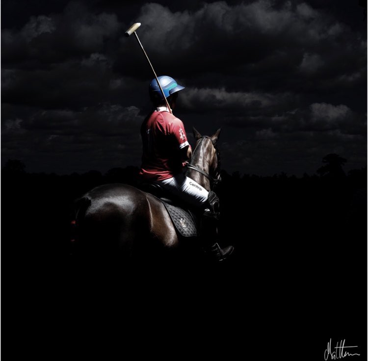A #photographic #fineart study of #Polo By <a href="/horsephotograph/">Matthew Seed - The Horse Photographer</a> - horse-photographer.co.uk/a-study-of-pol…