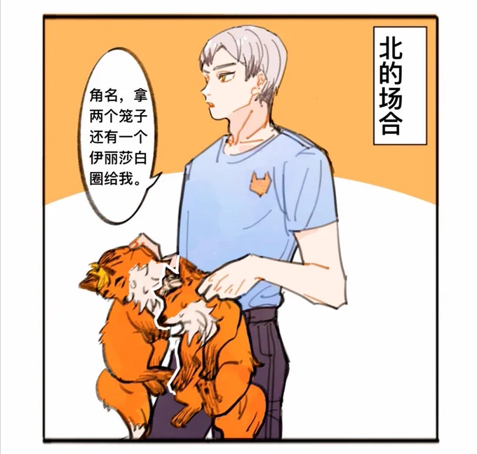 #ハイキュー 
#稲荷崎 
北信介和角名处理狐狸兄弟打架的情况? 