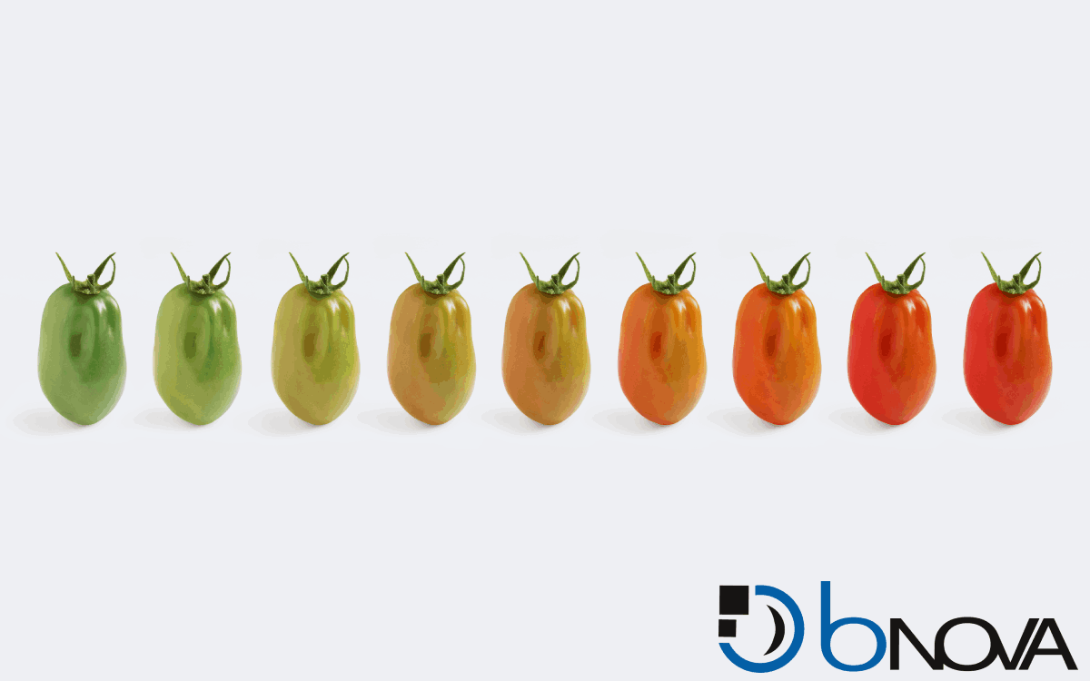 Come trasformare un trend in #businessstrategy? L’#AI è una combinazione di tecnologie che consente alle macchine di ragionare. Ma le grandi #rivoluzioni portano rischi se usate in modo improprio. Scopri con #BNova come sfruttare l'AI responsabilmente 👉 hubs.ly/H0ttX6Q0