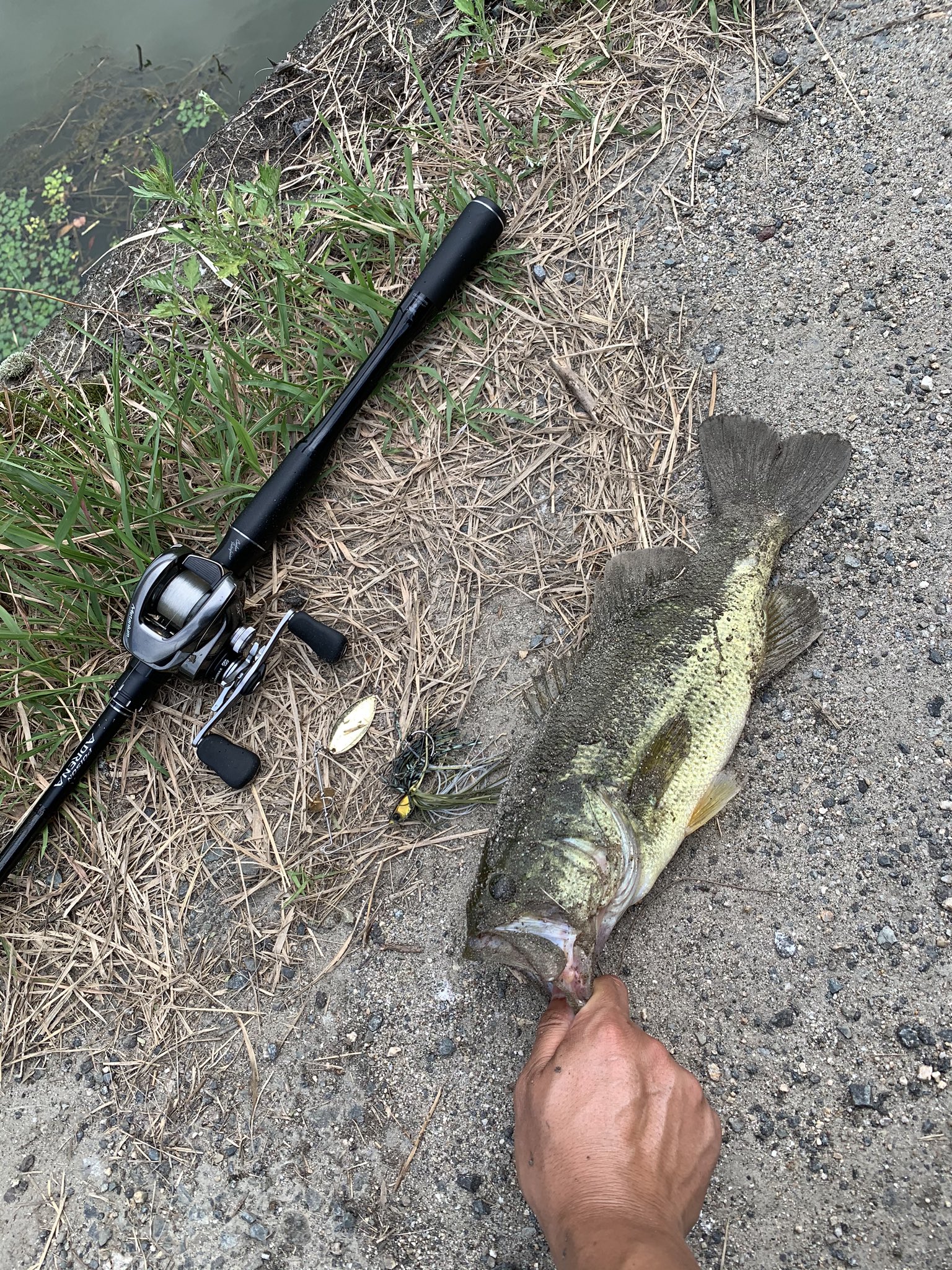 18ポイズンアドレナ 20メタニウム 【公式通販】