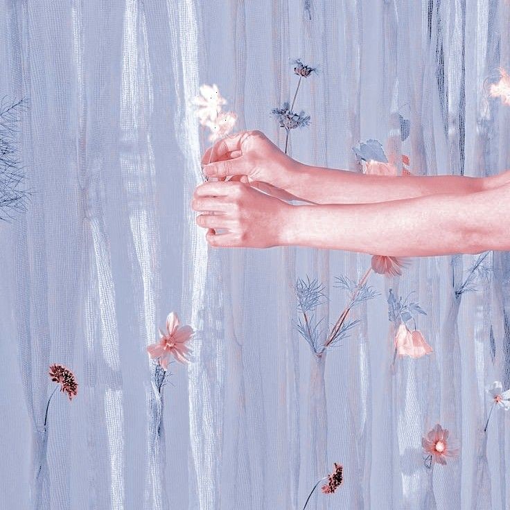 lilac snow • tweet media