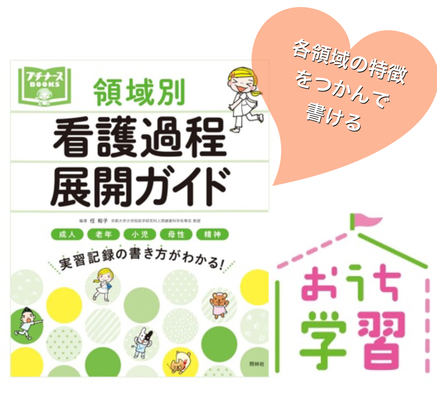 疾患別看護過程 プチナース 看護過程展開ガイド 実習記録の書き方がわかる 看護過程展開ガイド 第2版