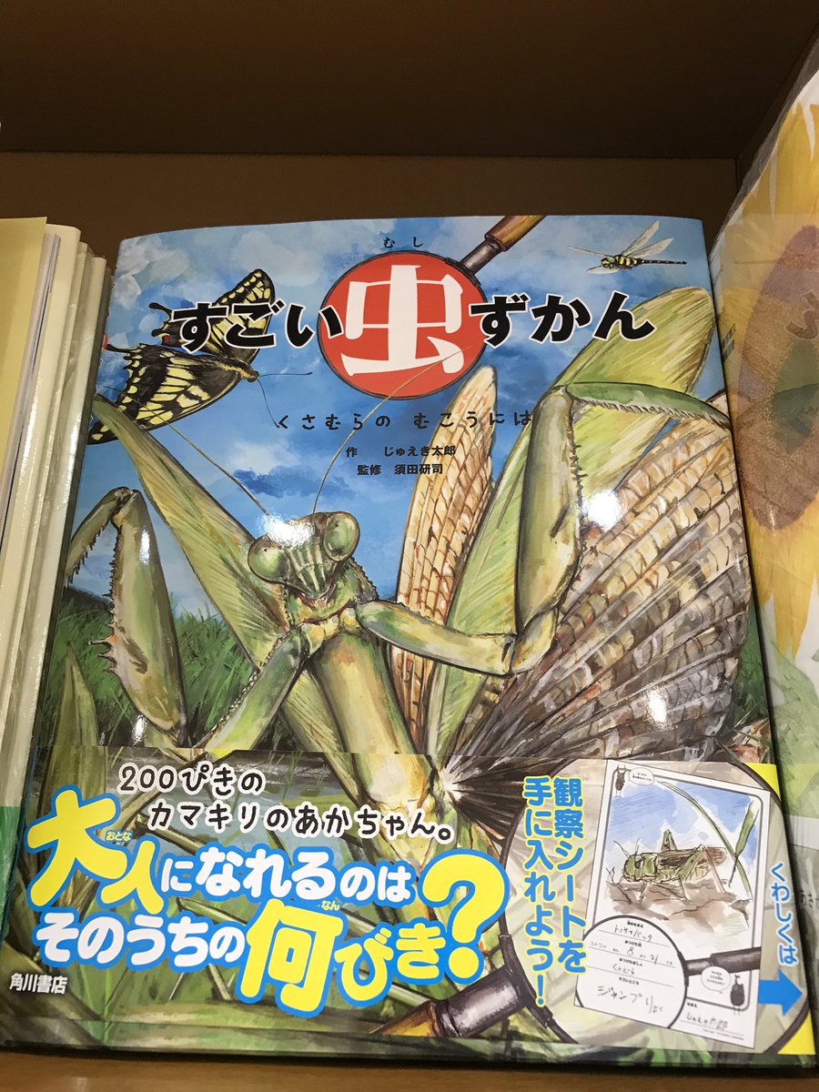 丸善仙台アエル店 در توییتر 本日は猛暑ですね こんな日には外に出るのは危険ですので こんな絵本で虫に親しんではいかがでしょう じゅえき太郎 すごい虫ずかん はリアルな絵といつものじゅえき先生流の絵が両方楽しめます 昆虫の体重測定 測れるの 丸善仙台アエル店 در توییتر 本日は猛暑ですね こんな日には外に出るのは危険ですので こんな絵本で虫に親しんではいかがでしょう じゅえき太郎 すごい虫ずかん はリアルな絵といつものじゅえき先生流の絵が両方楽しめます 昆虫の体重測定 測れるの