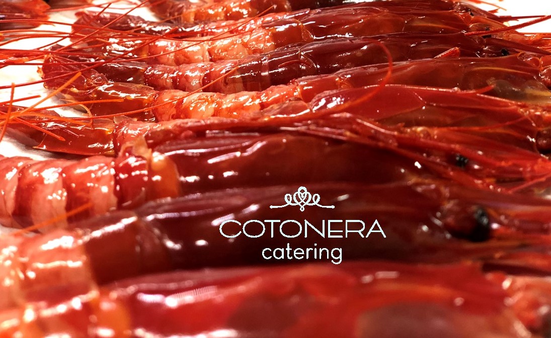 CotoneraEvents tweet picture