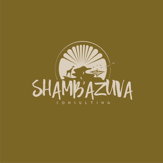 Having started HVS we faced many challenges. We sought for a tourism consulting firm locally and couldnt find one at that time. We had these challenges for two years. In 2018 I decided we start a consulting firm focusing on tourism and hospitality. Shambazuva was born.