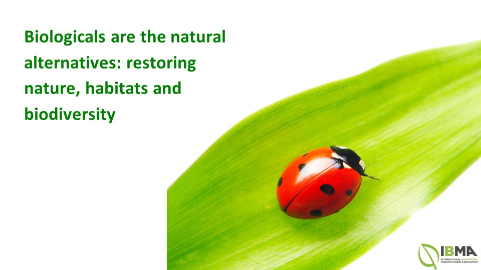 IBMAgl's tweet photo. #EUFarmtoForkStrategy #Biologyfirstfarming - Support 75% biologicals by 2030 - Farmers and Future generations need them for resilient agriculture #bioprotection #biologicals
 #biocontrol #bioprotection #Buildbackbetter #agroecology
#EUBiodiversity https://t.co/1T2Gk468rd