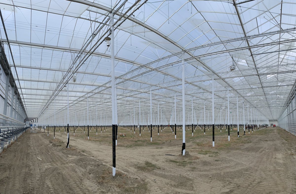 Havecon Horticultural Projects tweet media