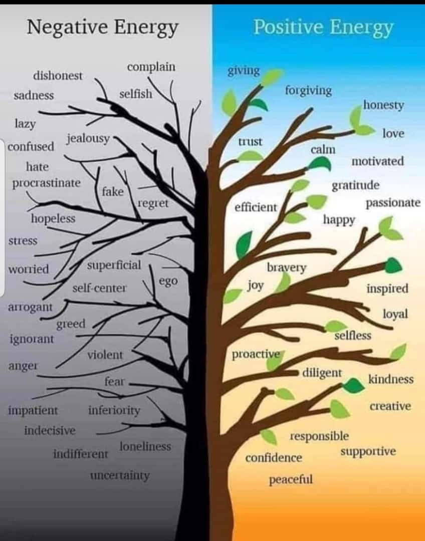 TLengala's tweet image. 