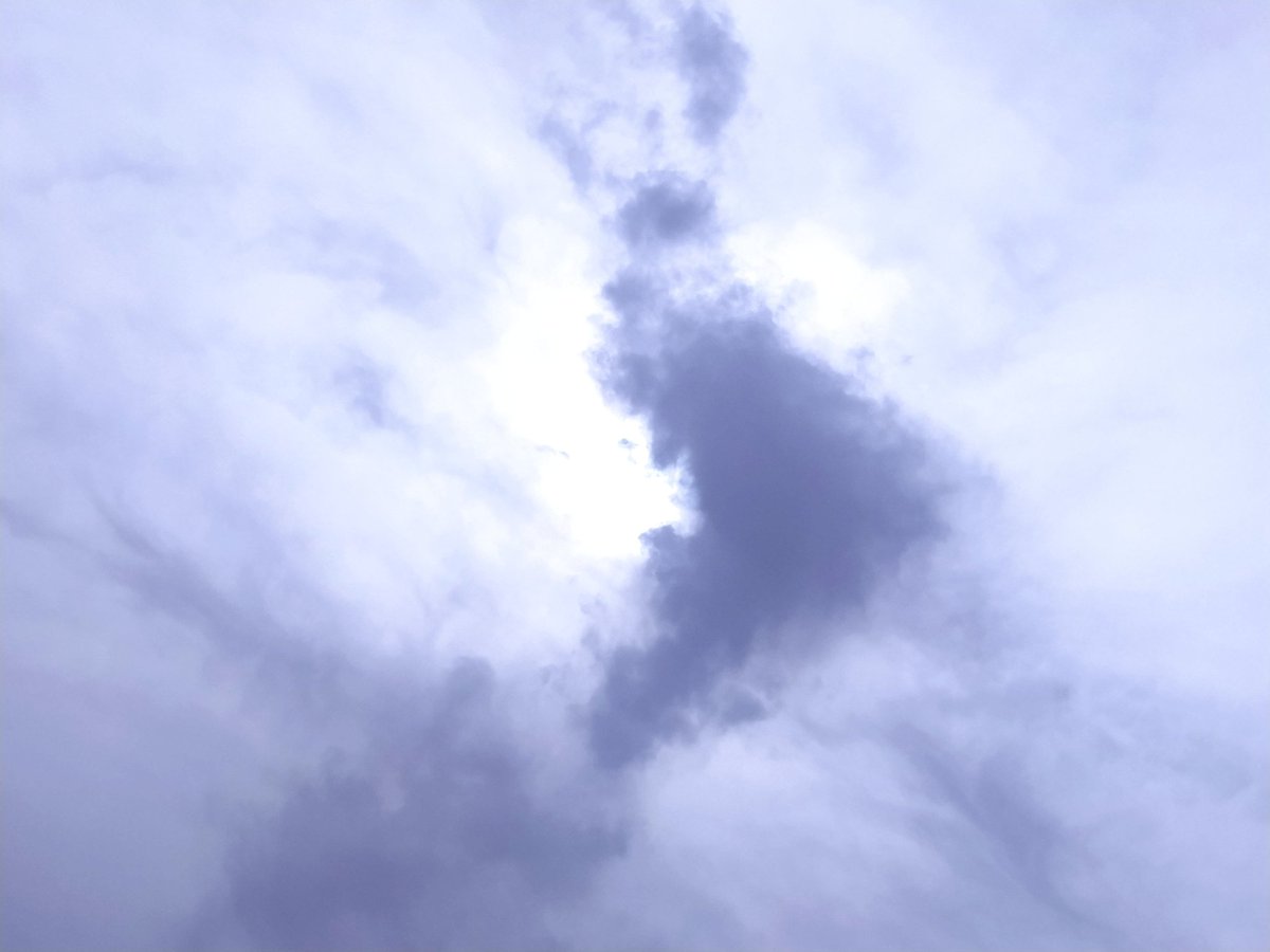 AquilaNatura's tweet photo. ¿Habrá #tormenta?
#Forfoleda https://t.co/Lc18tc6mxv