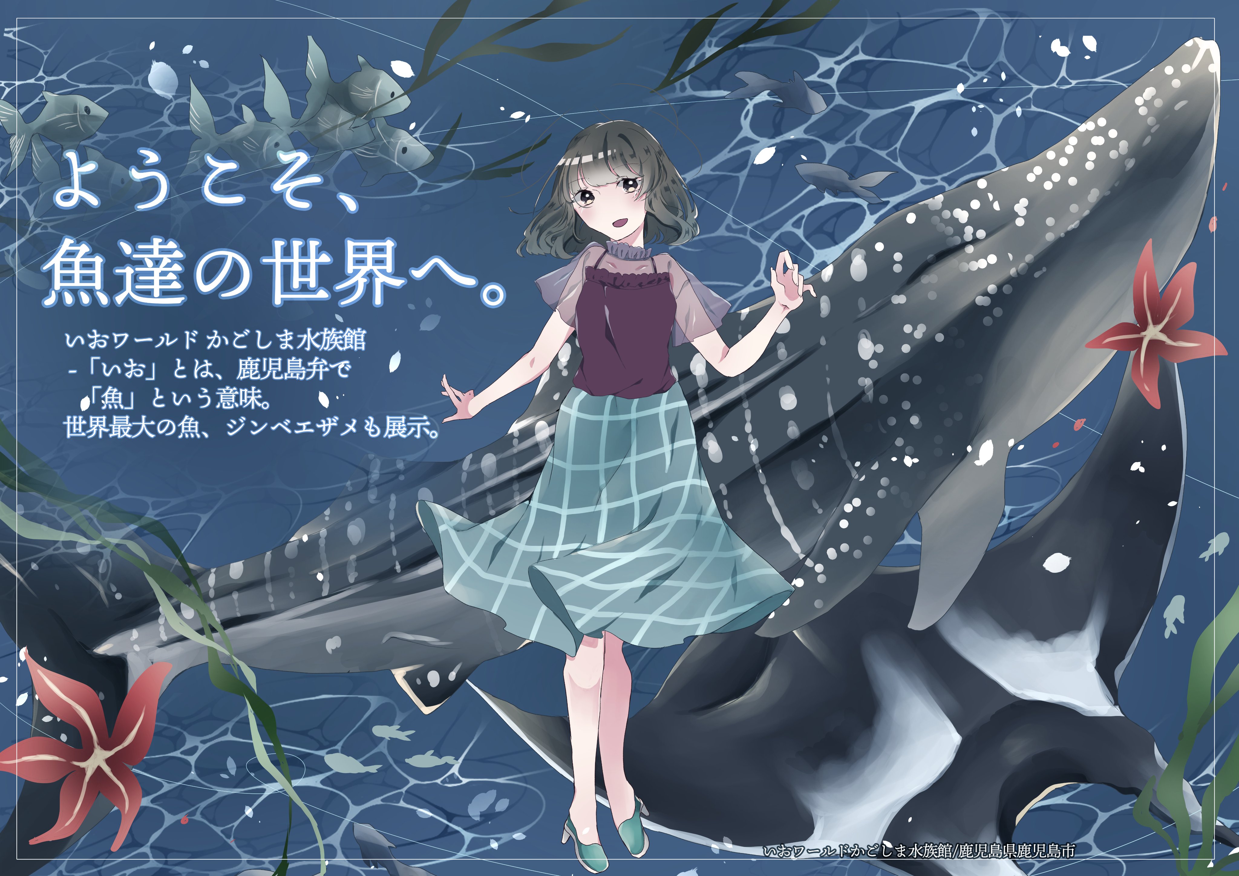 彩雨 まき Maki Ayame Twitter