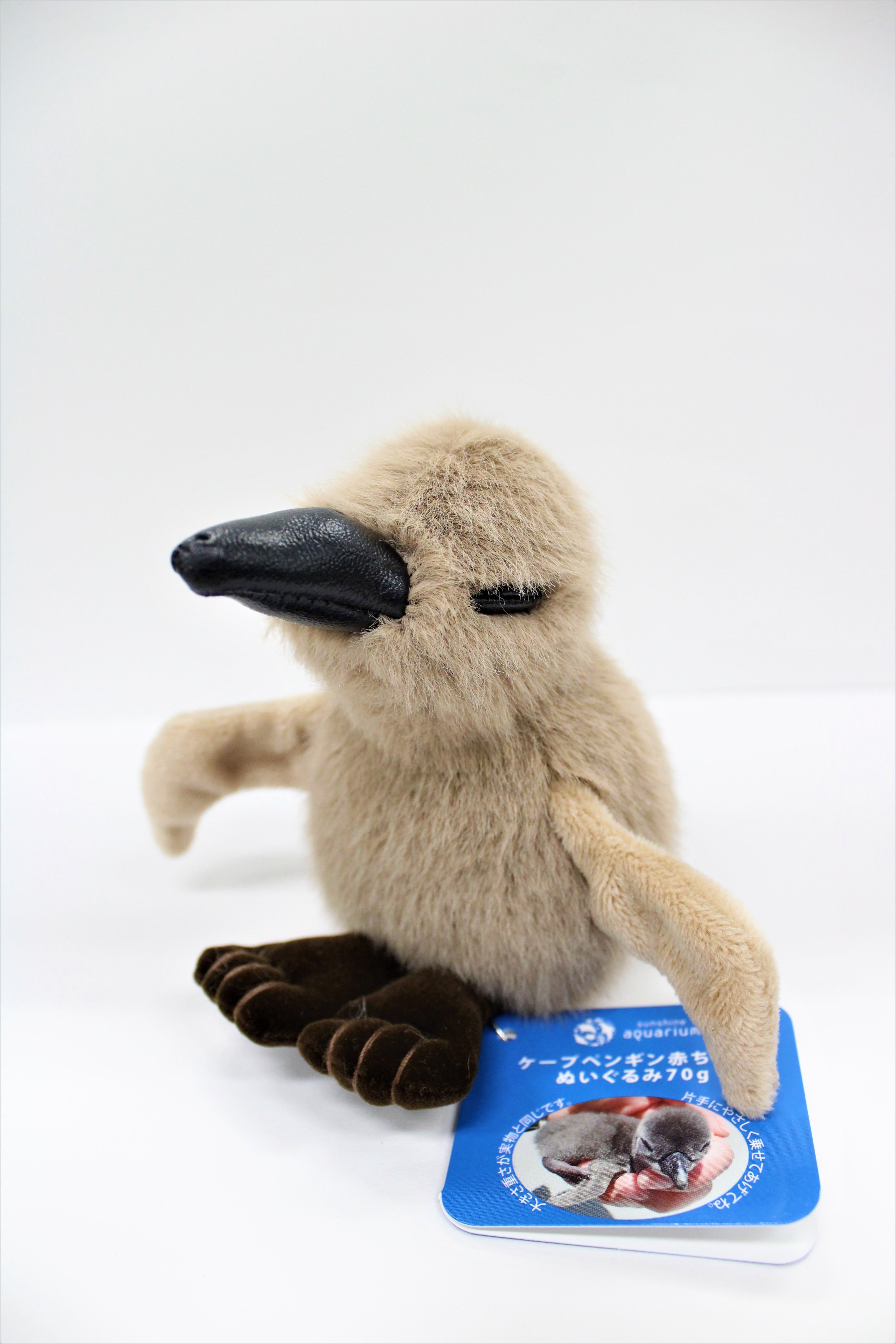 サンシャイン水族館 サンシャイン水族館オリジナルケープペンギン赤ちゃんぬいぐるみ です ケープペンギンの赤ちゃん をそのまま再現したぬいぐるみです 実際の赤ちゃんの見た目と重さにこだわっています 手のひらサイズなので小さなお子様にも