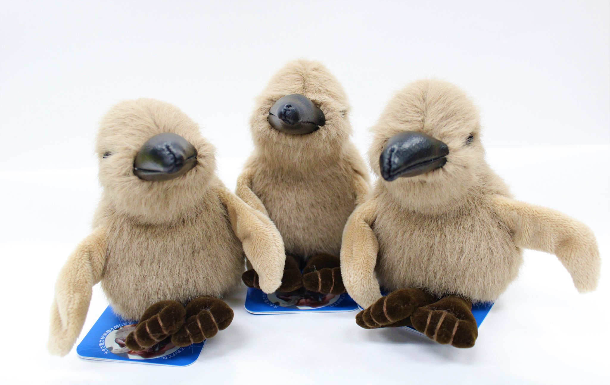 サンシャイン水族館 サンシャイン水族館オリジナルケープペンギン赤ちゃんぬいぐるみ です ケープペンギンの赤ちゃん をそのまま再現したぬいぐるみです 実際の赤ちゃんの見た目と重さにこだわっています 手のひらサイズなので小さなお子様にも