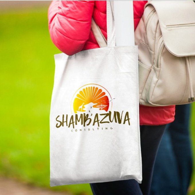 Owing to my experience in audit & advisory we started Shambazuva Tourism Consulting  @shambazuva. Shambazuva is a tourism & hospitality firm. It was established to provide expert and professional advice to players in the tourism space. At Shambazuva we offer the following services