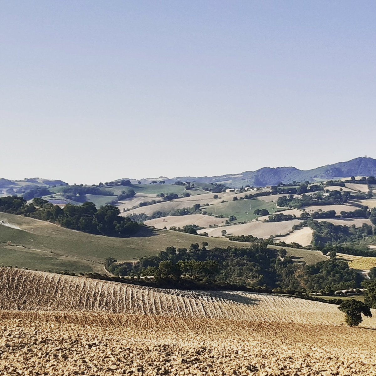 De Marken, Italie. Stilte. Locals iets verder zijn onze dichtste buren. Lokale landbouwers die ongemerkt blijven ploegen. Bijna beeldspraak. Nu droge akkers, maar hoopvol en vastberaden voor een vruchtbare toekomst.