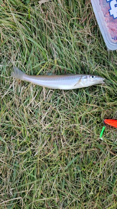 暁ふ頭公園の釣り場を360度写真レポート 都内の穴場スポット 360 Com