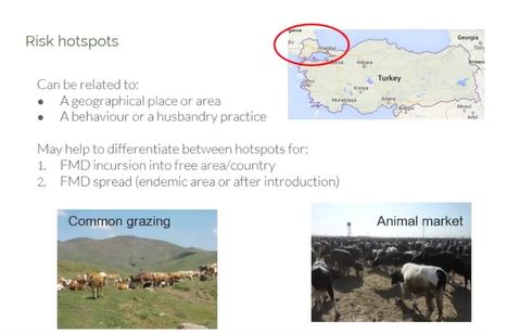 Eufmd's tweet photo. The online course #RAVC continues this week with the description of #risk along value chains to design control measures for #FMD. The participants will also focus on how this analysis can fit into the country's FMD control strategy.
#FAORAF #FAORNE #FAOSNE #FAOSEC #FAOSFC https://t.co/l2j72ZSpLi