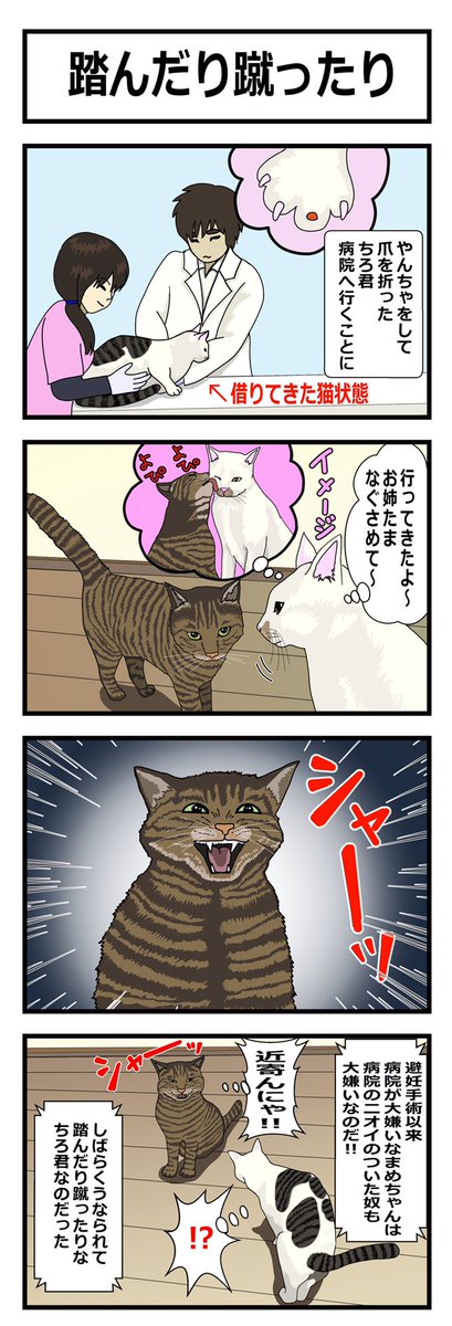 猫4コマ漫画のtwitterイラスト検索結果
