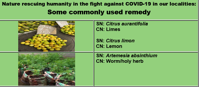 sufachac's tweet image. Nature rescuing humanity in the fight against COVID-19 in our localities:  Some commonly used remedy

Download document here:
sufachac.org/en/document/do…

#Sufachac #covid19 #BBML #gef #unenvironment  #SufachacCovid19Preview05 #Nature #fightagainstcoronavirus #remedy