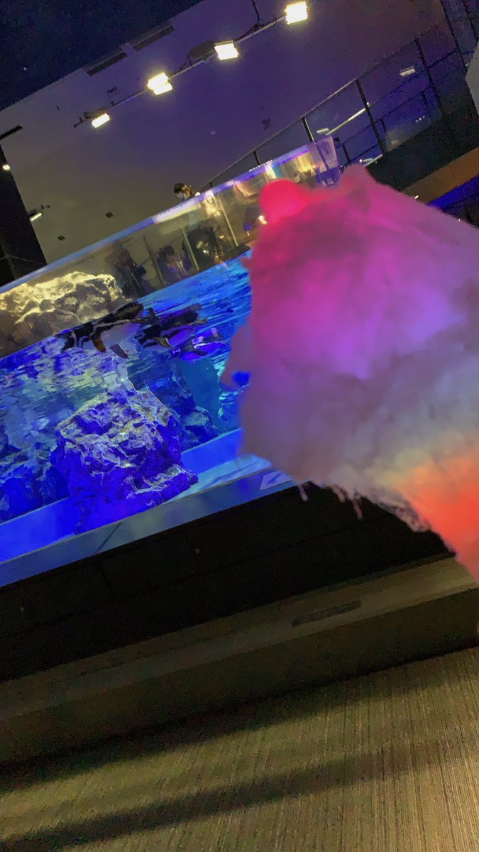 みちゃ すみだ水族館はペンギン見ながら光るわたあめを食べられるので最高です 写真が下手 みちゃ すみだ水族館はペンギン見ながら光るわたあめを食べられるので最高です 写真が下手