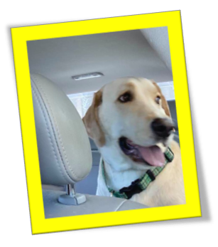 AnimalMusings's tweet photo. TITANIC TUESDAY brings us the saga of Jessie and Moon Doggie, which can be found at:
https://t.co/rG0W1gn8FH

You should enjoy it immensely, so do not delay, read it today. You will be glad that you did.

@KeilHackley  @DRMaymon  @Summer1391  @GracieRoadster  @96blueicebunny https://t.co/SfDxmHHLKK
