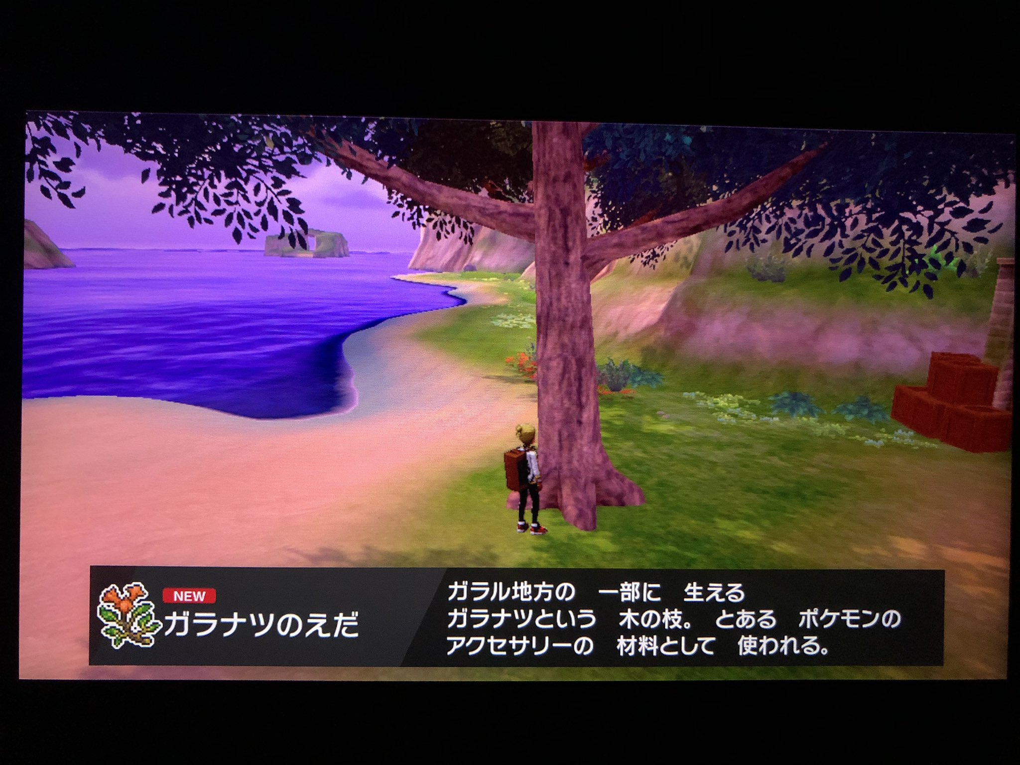 フカヒロ Pixivリクエスト5作目納品 募集停止中 アキラのガラル冒険記 ヨロイ島 本格探索開始 早速ガラナツの枝という新アイテム発見 が このままでは使えなさそう ヨロイ島だけのポケモンもゲットだ まずはカロス世代のクレッフィ