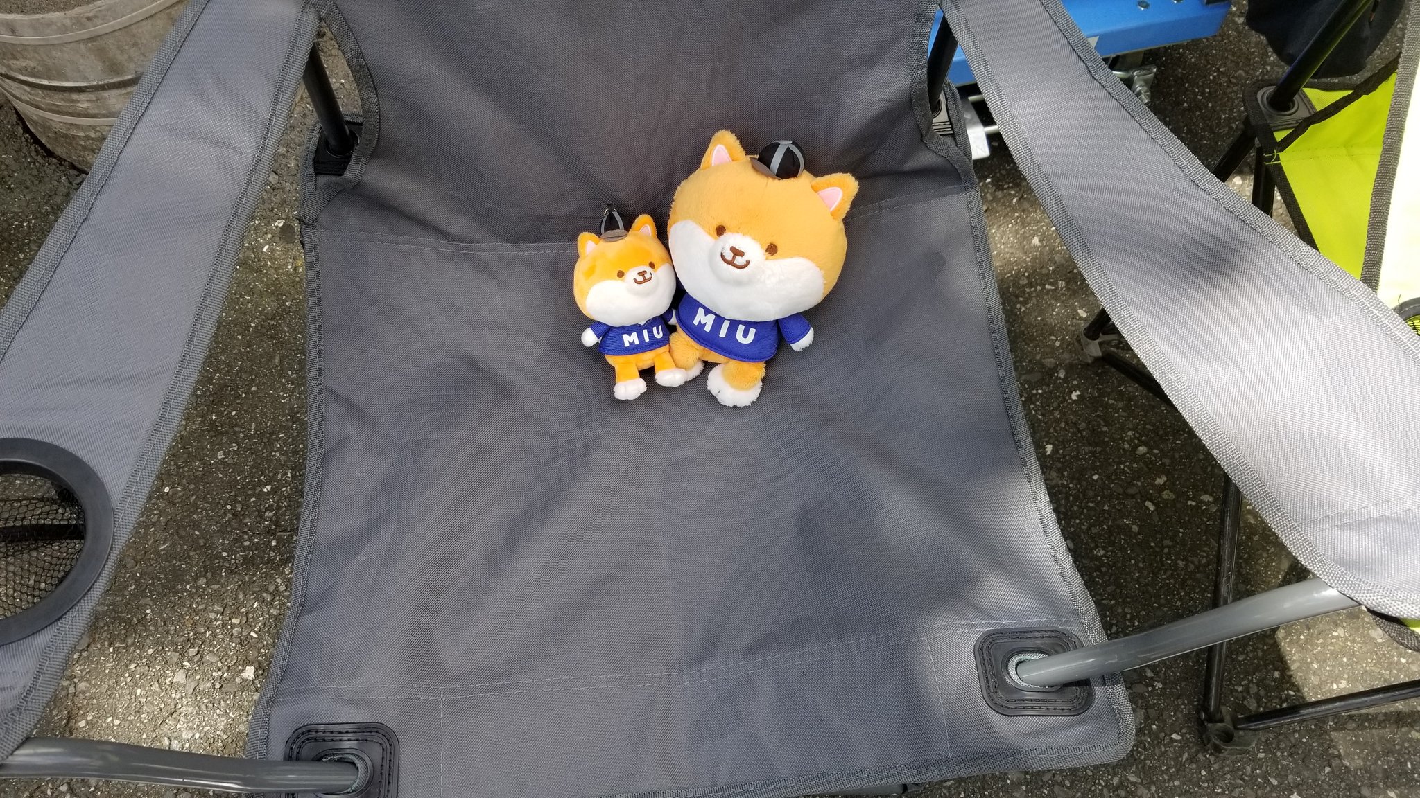 【正規品質保証】アクセサリーSALE/103%OFF】 専用585 座布団大好きキツネちゃん♡キーホルダー
