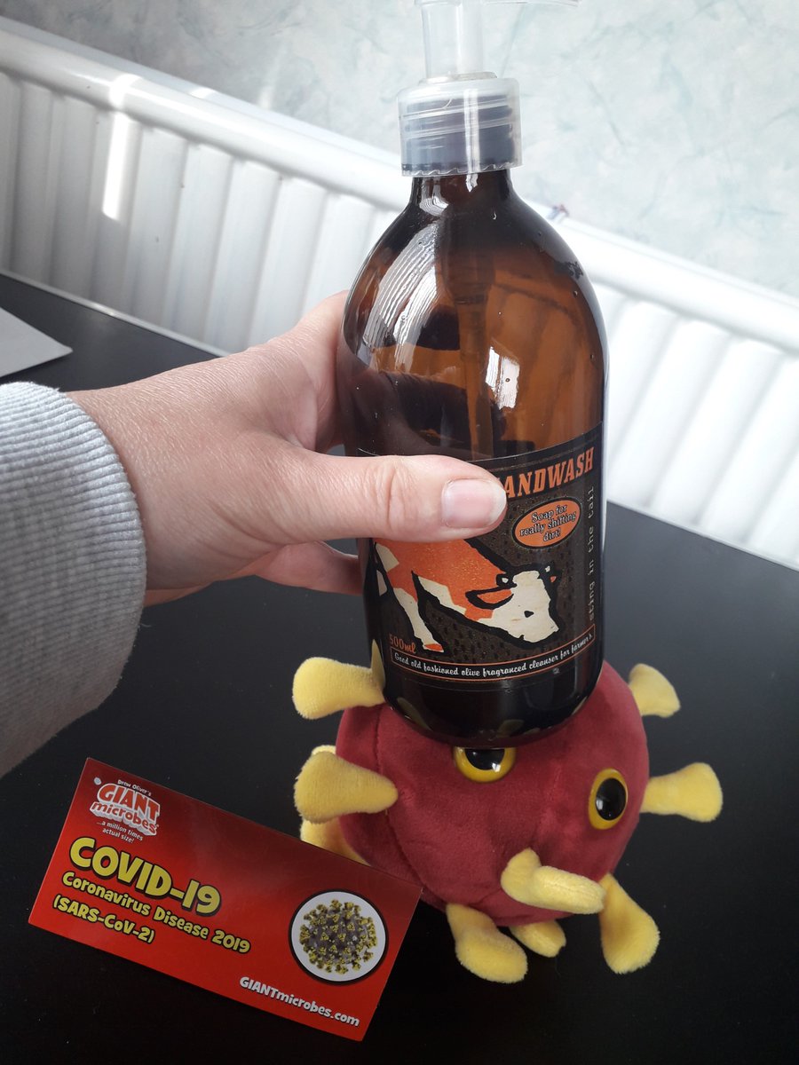 AbshireEnvHlth's tweet photo. Back to school tomorrow for @Aberdeenshire school pupils and students. Please remember to wash your hands thoroughly and regularly. Find out how to kill those covid-19 bugs by washing your hands in our wee video 

➡️https://t.co/yzyp0dtlWp

#backtoschool #COVID19 https://t.co/WjdkkvyQXL