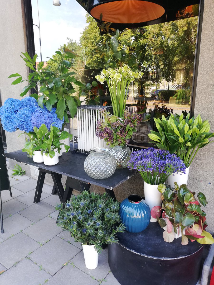 Butiken är igång igen efter semestern, och vi har fyllt upp med massor av snittblommor och växter av olika slag. Detta är annars sista veckan med sommartider i butiken: vardagar 11-16 och lördag 10-13. Nästa vecka har vi ordinarie öppettider igen.