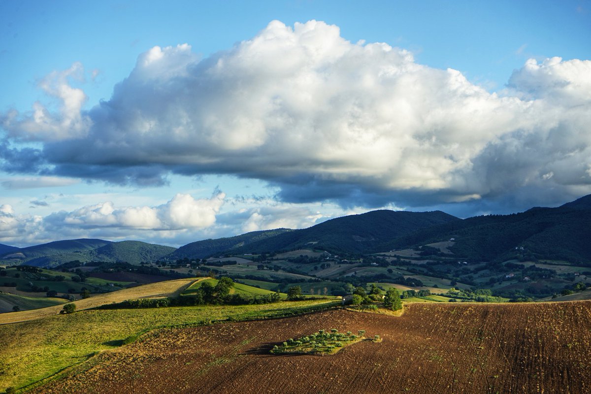 girovagate's tweet photo. Conoscete Loretello,
il castello dell'amore?
Piccolo, delizioso, circondato da uno dei paesaggi più belli delle Marche, la piccola e romantica Loreto è il luogo perfetto dove godersi un buon calice di vino (marchigiano!) e rilassarsi
#destinazionemarche #ad
#ripartodallitalia https://t.co/JiijowTYK1
