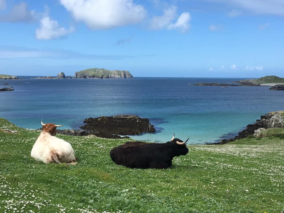 MacBackpackers tweet media