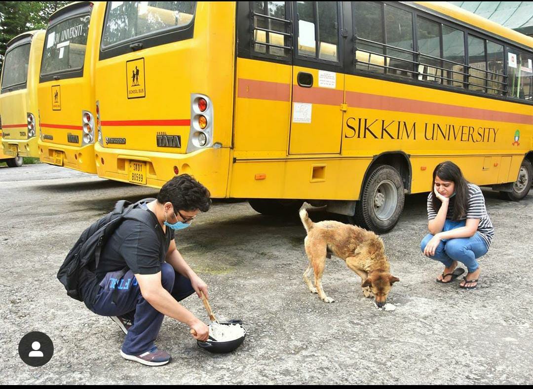 prcf_india's tweet photo. ♥️Full Bellies are Happy Bellies♥️
Our SMIMS, SMU and SU crew cooked delicious chicken and rice garnished with loads of love for the campus doggos and the ones residing in the vicinity.
#prcfoundation #prcfindia #puppyrescuecrew #eachonefeedone #Foodforthought #nohunger #PRC https://t.co/Ld9l6HR63W