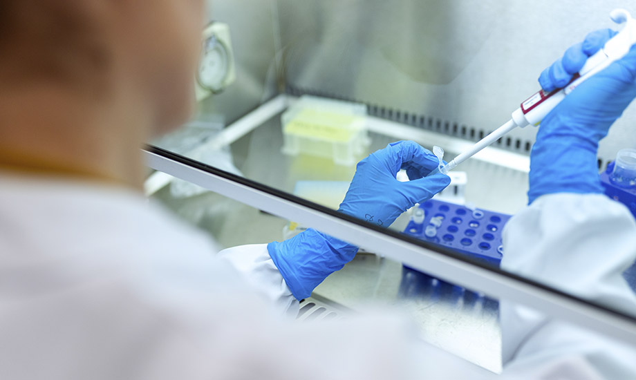 Foto cedida por Ministerio de Ciencia