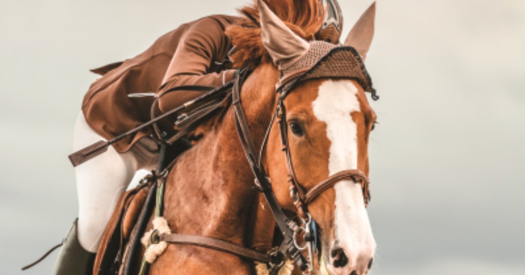 Did you know, we supply sample testing kits for various animal sporting disciplines. Our expertise in tamper evidence for over 45 years spearheads a strong initiative in protecting the integrity of animal sports.
Contact us to find out more:
ow.ly/7oHX50ANf5Z