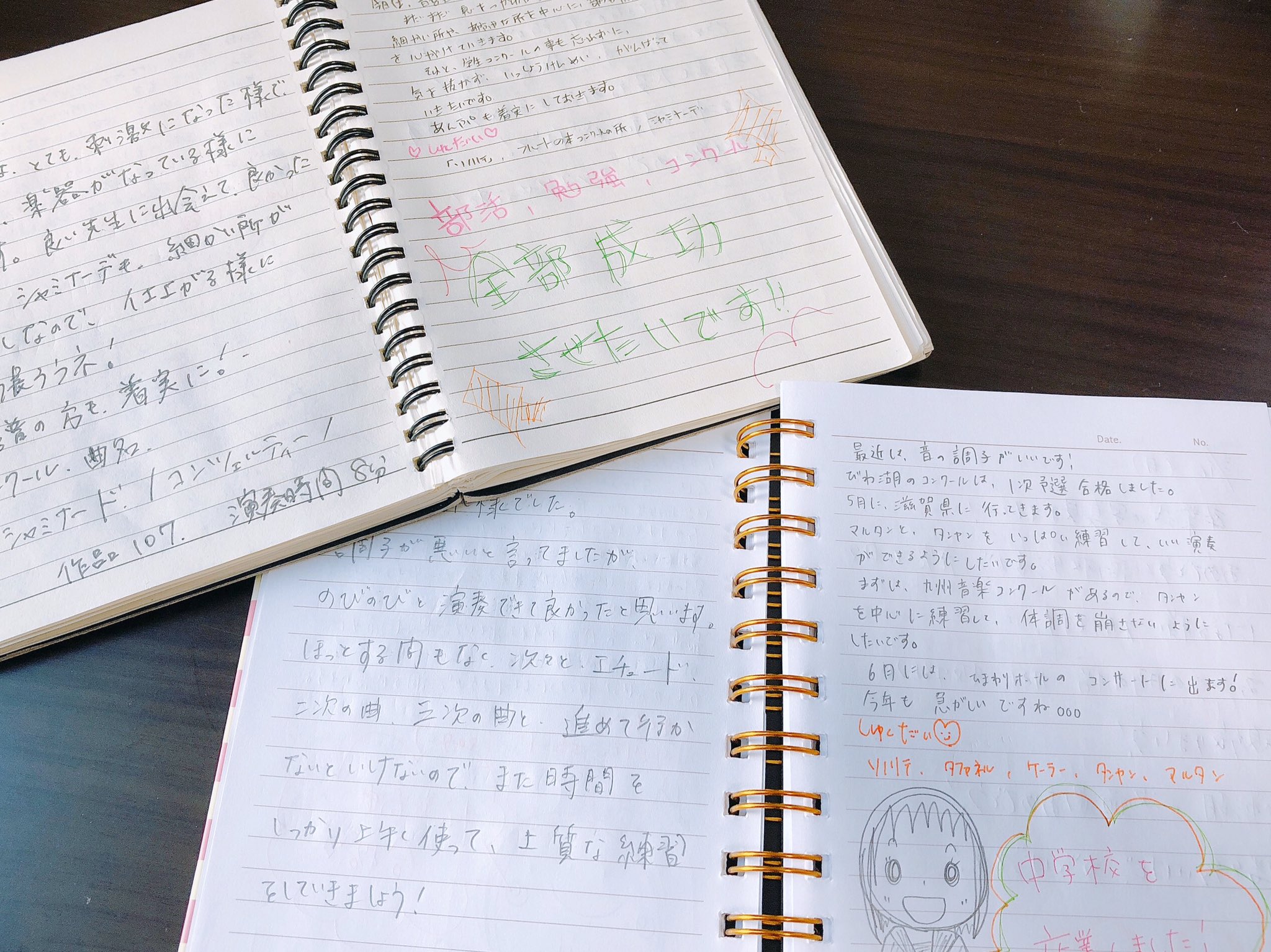 田中初音 Hatsune Tanaka A Twitter 中 高校生の時のレッスンノート 今となってはこんなに宝になるとは思ってもいなかった 自分が次教える立場になった時に 生徒一人ひとりと向き合って フルートは楽しいと思って貰えるようにこれからも勉強していきたい
