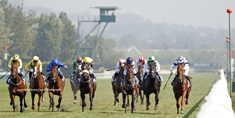 Steven_Cargill's tweet photo. 5th win for gelding MAYSTAR @HollieDoyle1 in 6f 3yo LR Prix Moonlight Cloud @fgdeauville on Sunday for @CPStudOfficial Mayson @Archie_Watson @HambletonRacing https://t.co/MzAxRuAncY