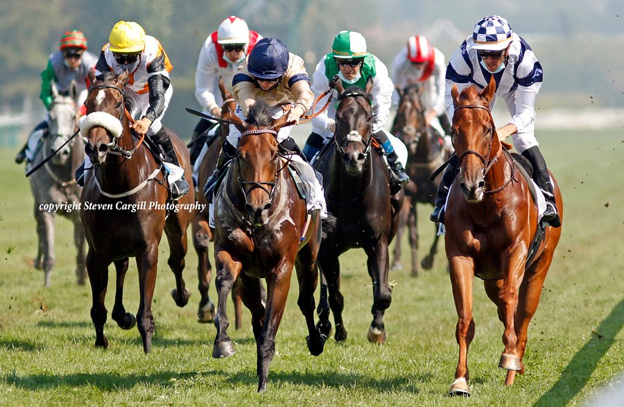 Steven_Cargill's tweet photo. 5th win for gelding MAYSTAR @HollieDoyle1 in 6f 3yo LR Prix Moonlight Cloud @fgdeauville on Sunday for @CPStudOfficial Mayson @Archie_Watson @HambletonRacing https://t.co/MzAxRuAncY