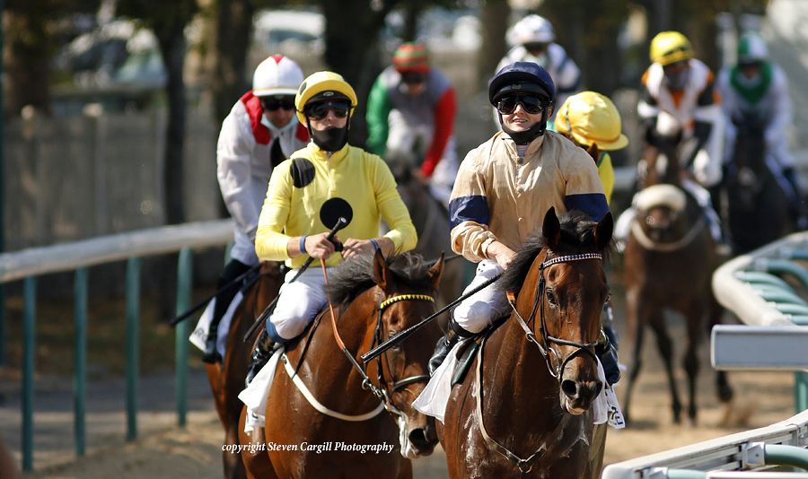 Steven_Cargill's tweet photo. 5th win for gelding MAYSTAR @HollieDoyle1 in 6f 3yo LR Prix Moonlight Cloud @fgdeauville on Sunday for @CPStudOfficial Mayson @Archie_Watson @HambletonRacing https://t.co/MzAxRuAncY