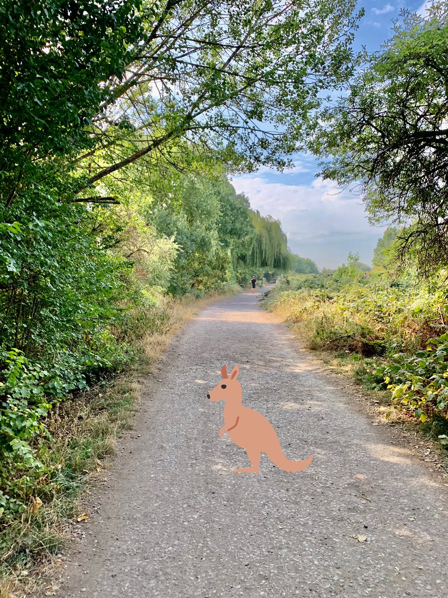 This angle is one of my favourite shot when taking photos... I wish, I could see something for my  #BestWildlifeSelfie but I guess, it would just be a wishful thinking...  #NursesActive #ImperialActive  #ImperialPeople