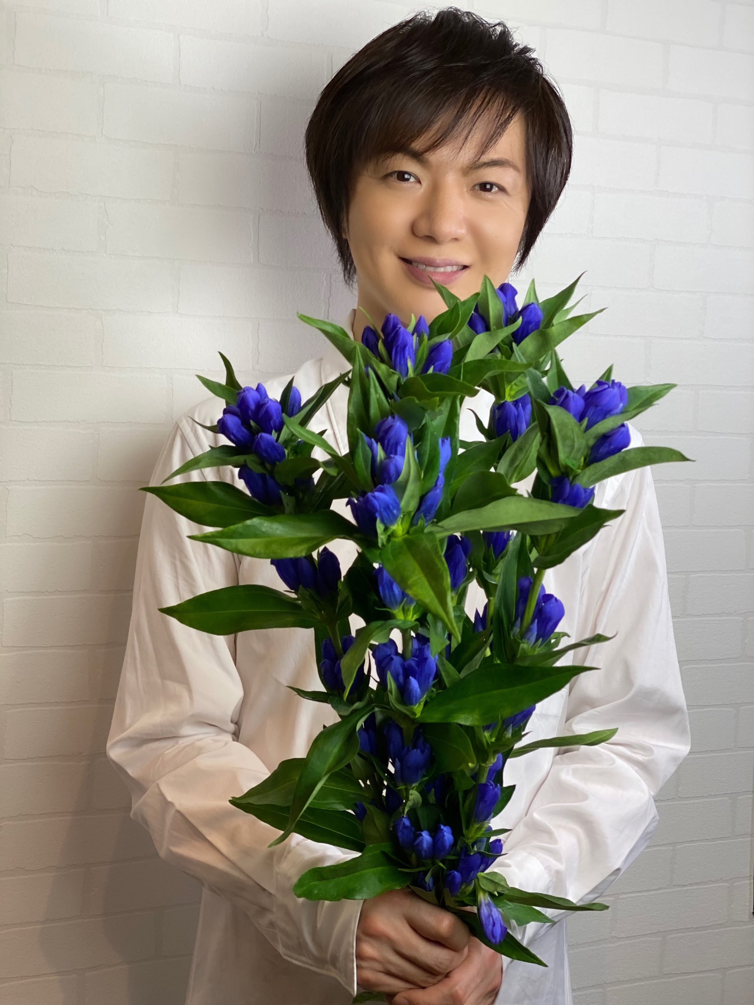 竹島宏スタッフ 公式 Al Twitter りんどう 紫 花言葉は 勝利 りんどうも色ごとに花言葉が あります 毎日頑張っている 皆さんに 勝利 を 今日も１日お疲れ様でした ひろネット 花 T Co Rzqm6n9twp Twitter