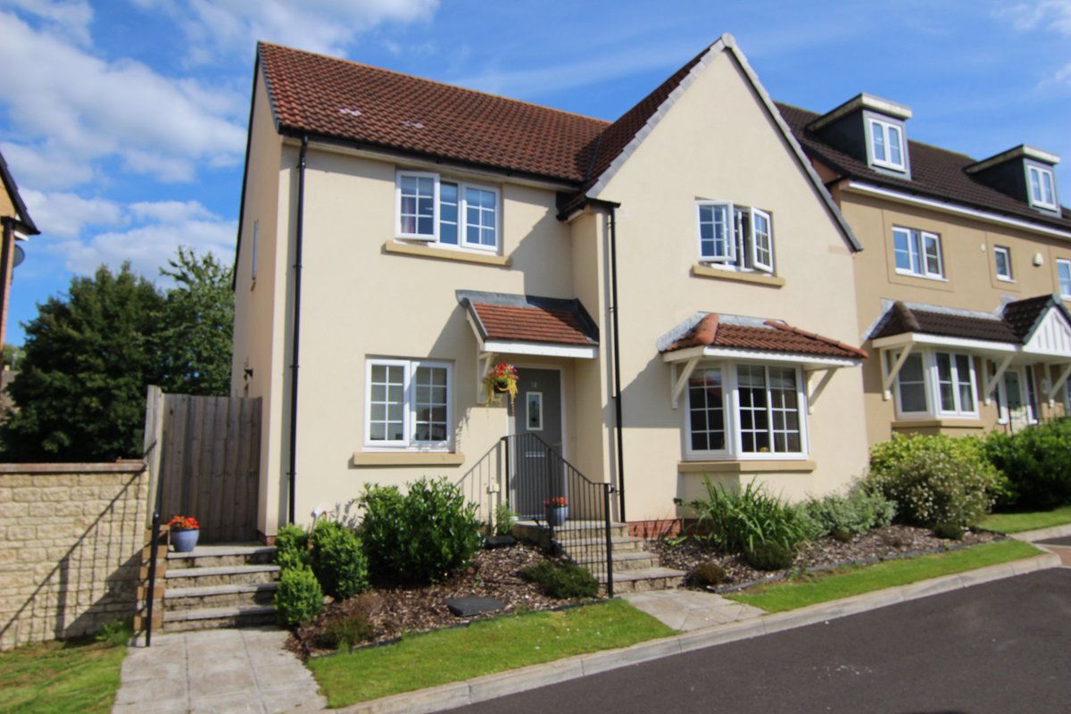 Cherry Tree Estates tweet media